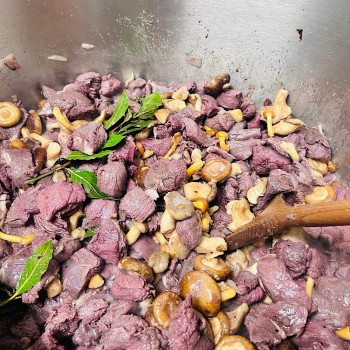 Ragoût de cerf aux champignons des bois
