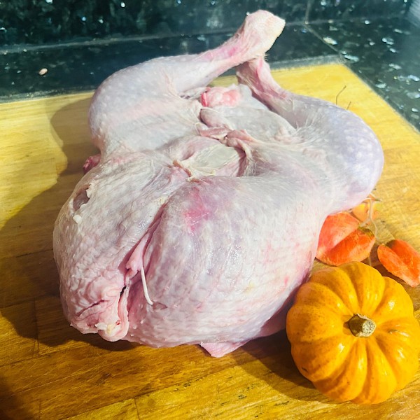 Dinde désossée prête à farcir