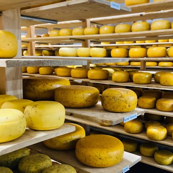 Plateau fromage pour raclette 4 personnes